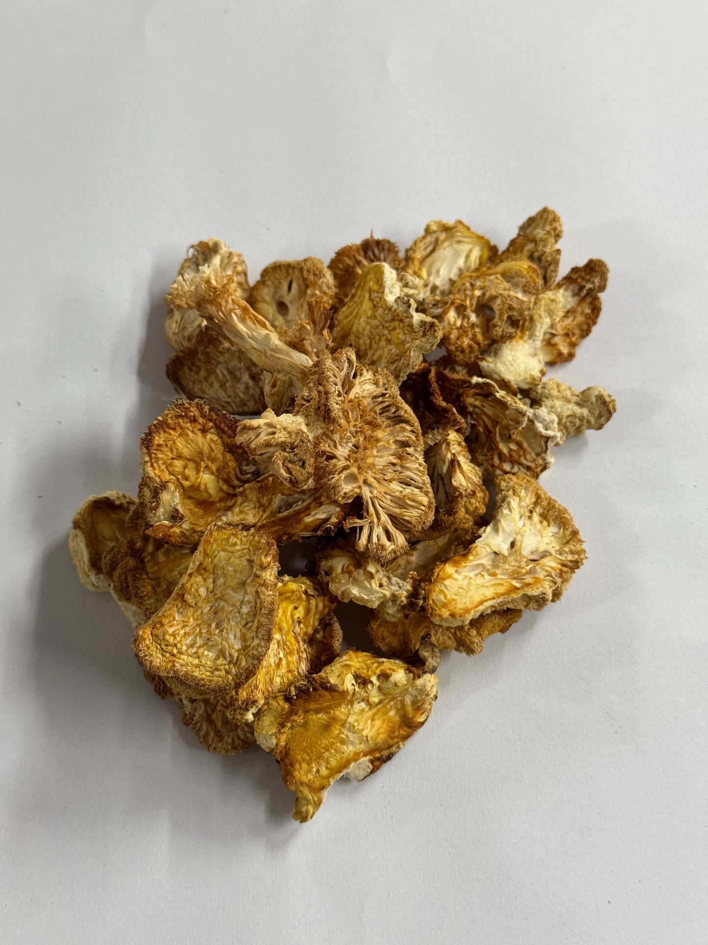 Cogumelo Juba de Leão (Hericium erinaceus) - Desidratado