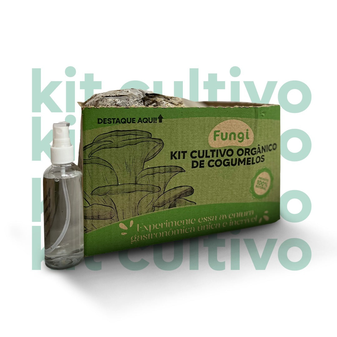 Kit Cultivo de Cogumelos Orgânicos2