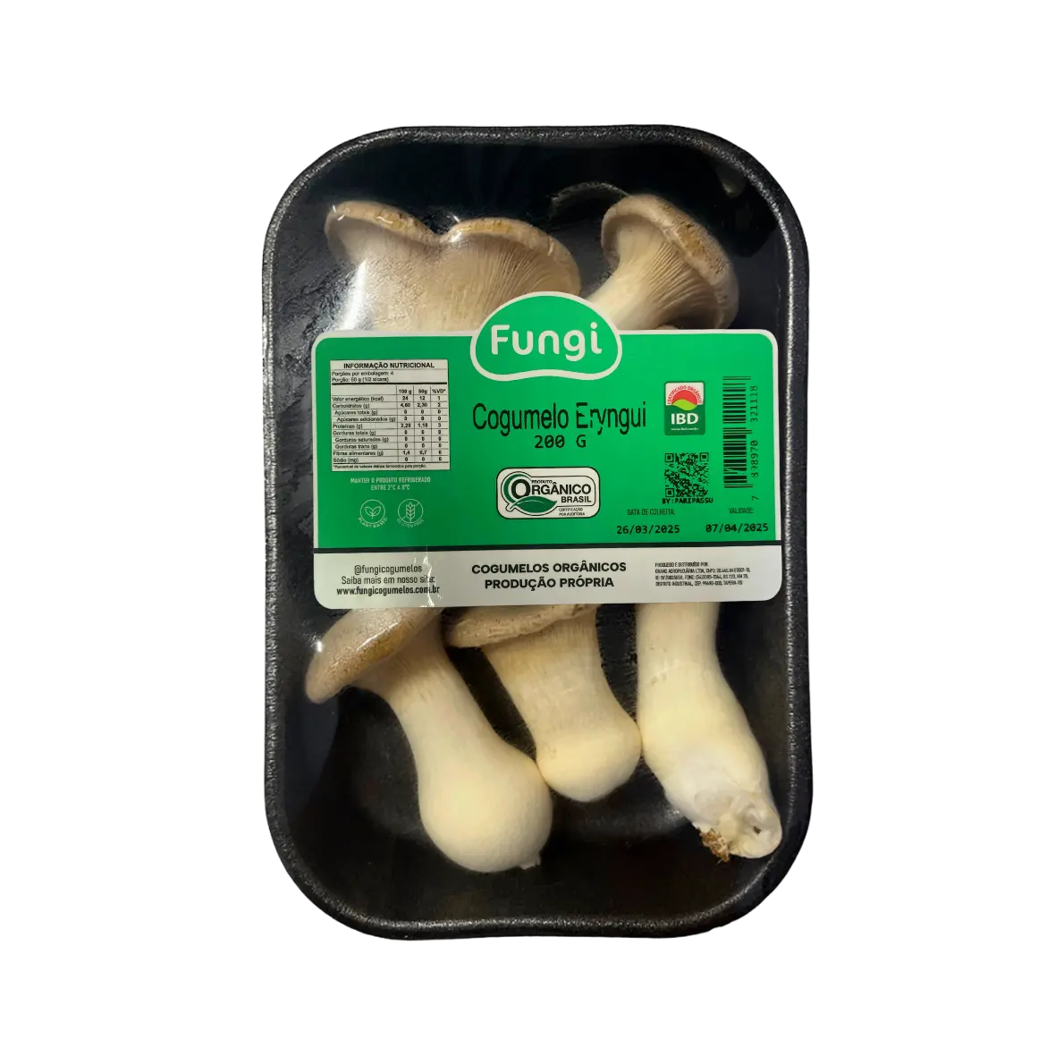 Cogumelo Eryngui In Natura Fungi