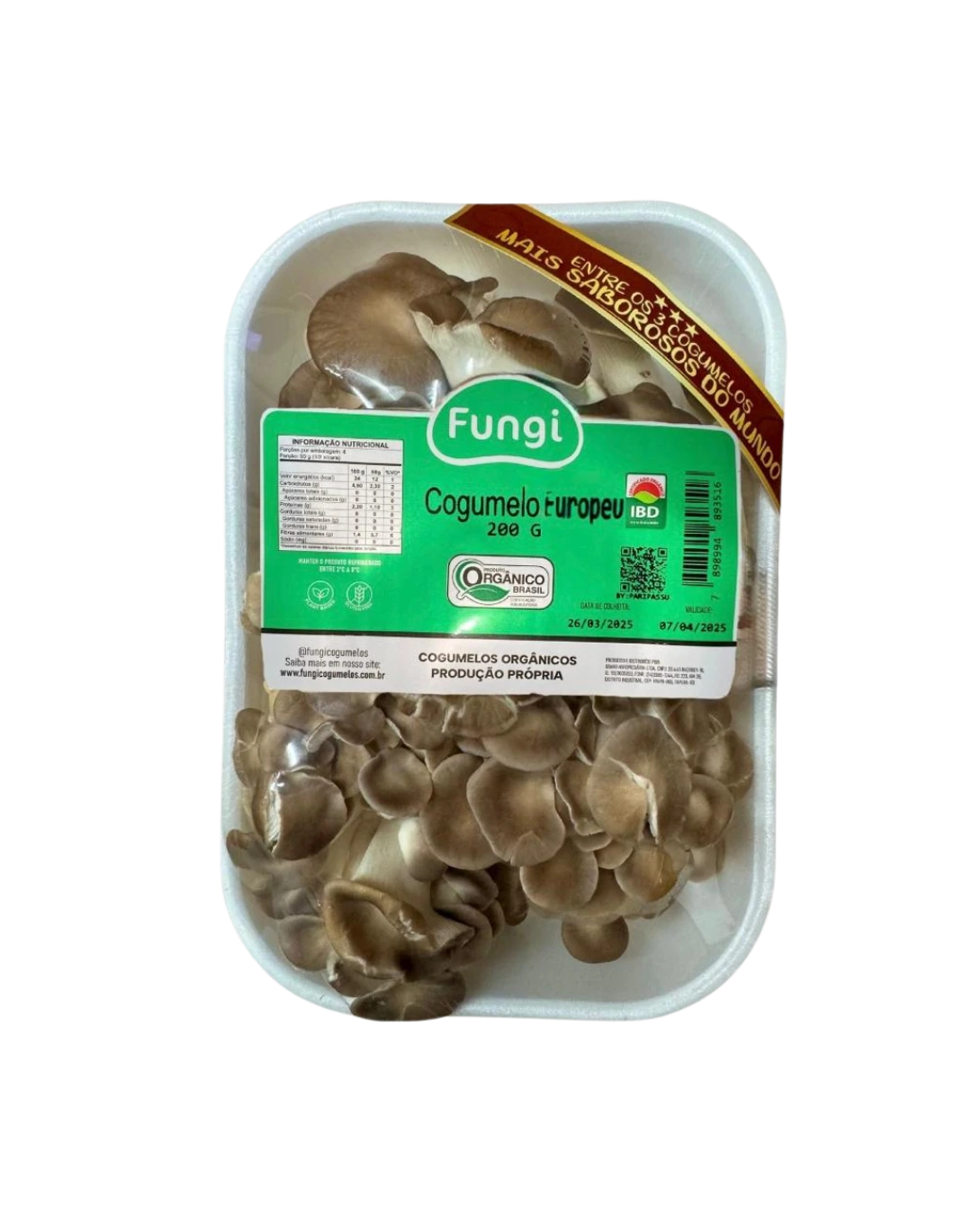 Cogumelo Europeu In Natura Fungi