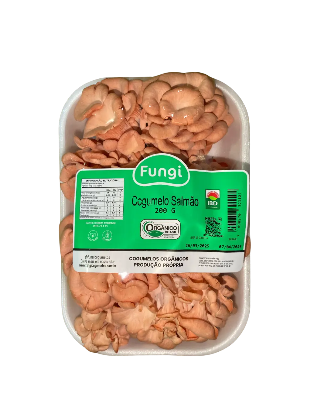 Cogumelo Salmão In Natura Fungi