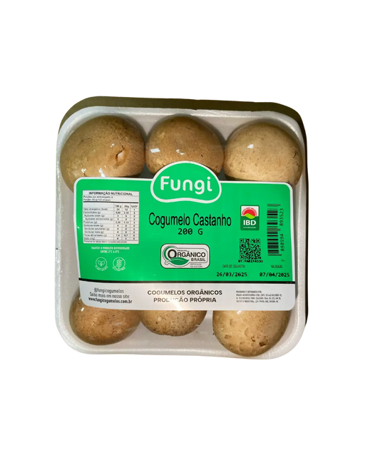 Cogumelo Castanho In Natura Fungi