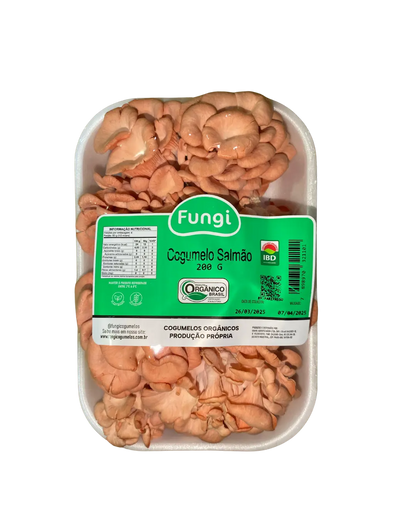 Cogumelo Salmão In Natura Fungi