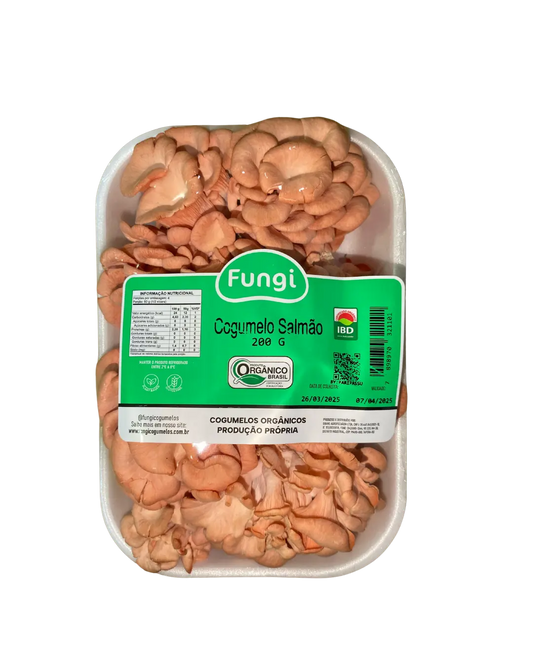 Cogumelo Salmão In Natura Fungi